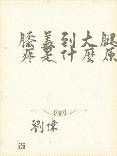 膝盖到大腿根筋疼是什么原因