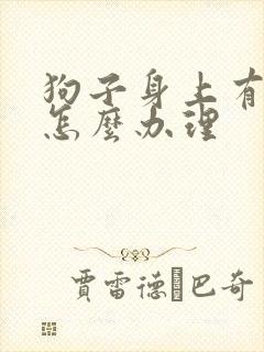 狗子身上有蜱虫怎么办理