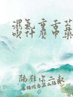 湿气重舌苔白厚吃什么中药