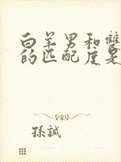 白羊男和双子女的匹配度是多少