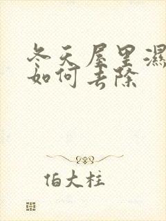 冬天屋里湿气重如何去除