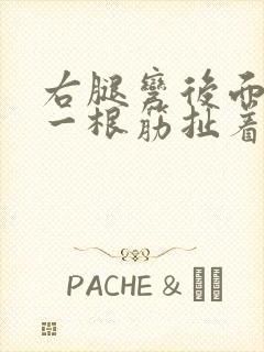 右腿弯后面像有一根筋扯着疼