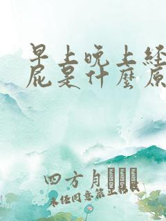 早上晚上经常放屁是什么原因