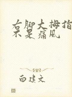 右脚大拇指痛是不是痛风