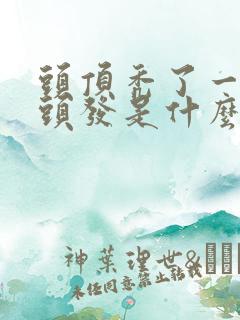 头顶秃了一小块头发是什么原因怎么办