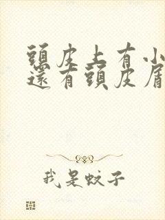 头皮上有小疙瘩还有头皮屑