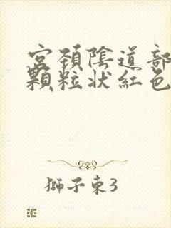 宫颈阴道部见细颗粒状红色区