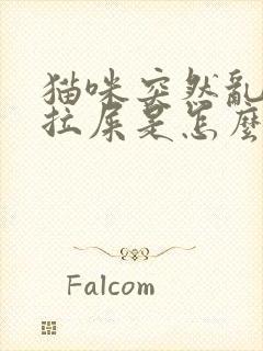 猫咪突然乱尿乱拉屎是怎么回事