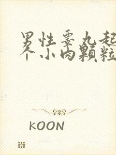 男性睾丸起了一个小肉颗粒