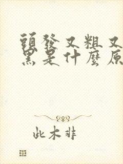 头发又粗又硬又黑是什么原因