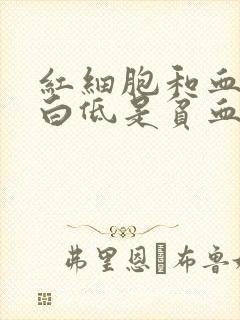 红细胞和血红蛋白低是贫血吗