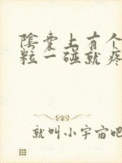 阴囊上有个小肉粒一碰就疼