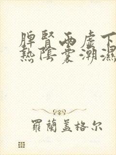 脾肾两虚下焦湿热阴囊潮湿吃什么药