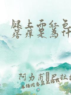 腿上面红色的疙瘩痒是为什么