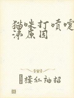 猫咪打喷嚏流鼻涕原因