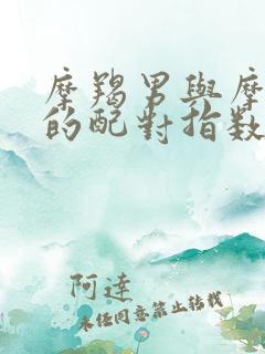 摩羯男与摩羯女的配对指数