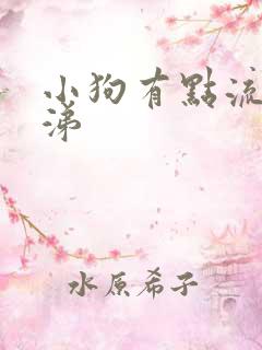 小狗有点流黄鼻涕