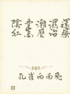 阴囊潮湿还痒还红怎么治疗