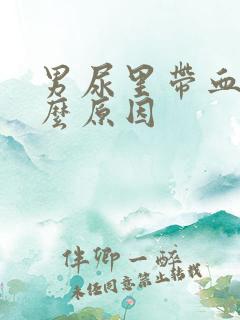 男尿里带血是什么原因