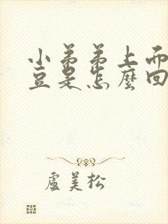 小弟弟上面长豆豆是怎么回事