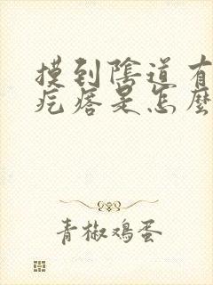 摸到阴道有个硬疙瘩是怎么回事