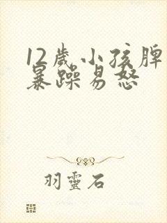 12岁小孩脾气暴躁易怒