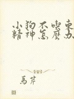 小狗不吃东西没精神怎么办吃什么药