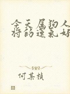 今天属狗人打麻将的运气好不好