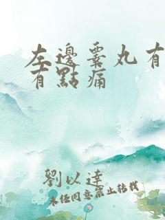 左边睾丸有点肿有点痛