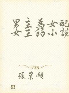 男主为女配伤害女主的小说