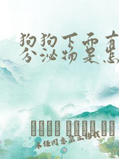 狗狗下面有白色分泌物是怎么回事