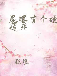 屁眼有个硬疙瘩还疼