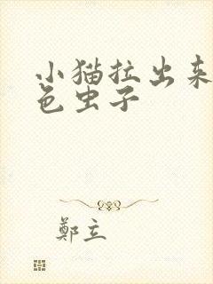 小猫拉出来的白色虫子