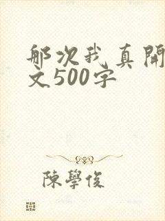 那次我真开心作文500字