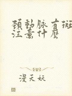 颈动脉有斑块要注意什么