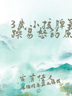 3岁小孩脾气暴躁易怒的原因