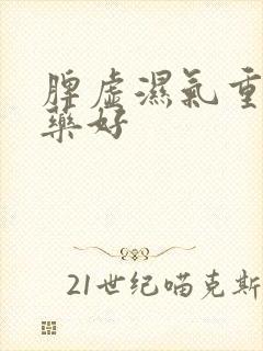 脾虚湿气重吃啥药好