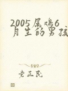 2005属鸡6月生的男孩子命运