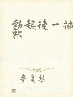 勃起后一插入就软