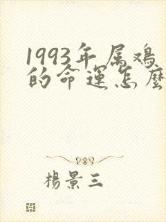 1993年属鸡的命运怎么样