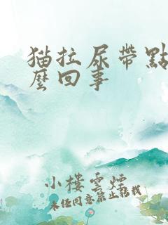 猫拉尿带点血怎么回事