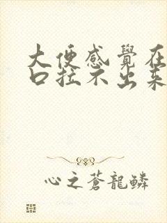 大便感觉在肛门口拉不出来怎么办