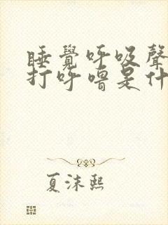 睡觉呼吸声音重打呼噜是什么原因