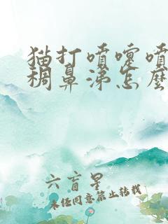 猫打喷嚏喷出粘稠鼻涕怎么治