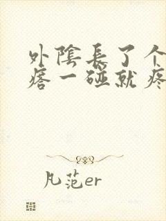 外阴长了个大疙瘩一碰就疼