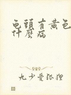 龟头有黄色脓是什么病