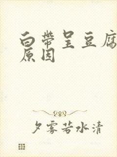 白带呈豆腐渣样原因