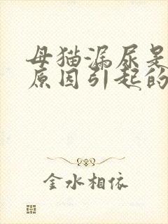 母猫漏尿是什么原因引起的