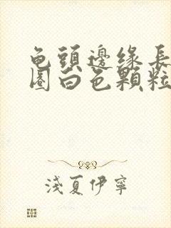 龟头边缘长了一圈白色颗粒图片