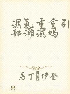 湿气重会引起阴部潮湿吗